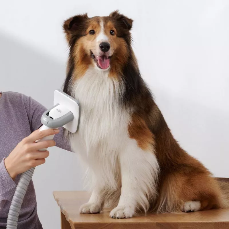Staubsauger | DREAME | Mova G1 Pro Pet Grooming Kit | Staubkapazität 1 L | Reinigungstyp Trocken | Farbe Weiß | PHC10A