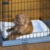 FERPLAST Superior 90 - Hundebox - 92 x 58,5 x 62,5 cm