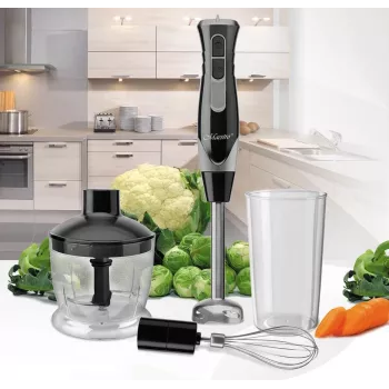 Stabmixer Maestro MR-566, 500 W, 2 Geschwindigkeiten, Turbo, Schneebesen, Zerkleinerer 600 ml, 900 ml Aufbewahrungsglas, Edelstahl