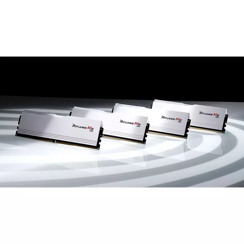 DIMM 48 GB DDR5-5200 (2x 24 GB) Dual-Kit, Arbeitsspeicher Weiß, F5-5200J4040A24GX2-RM5RW, Ripjaws M5, INTEL XMP