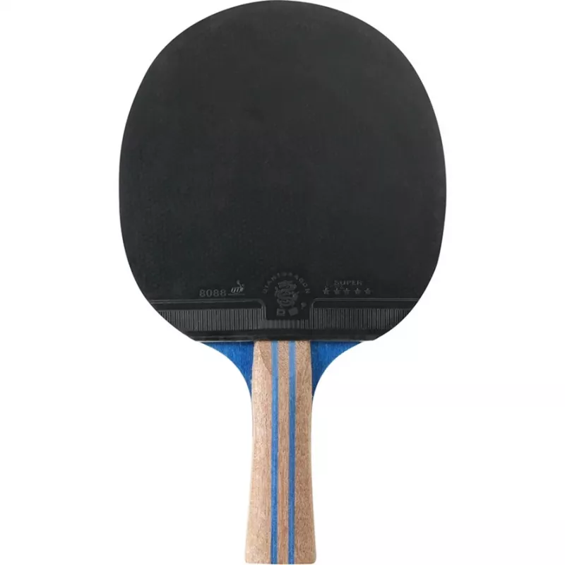 Tischtennis-Set HUDORA Match für 2 Spieler – tragbares Tischtennis- und Fitnessgerät