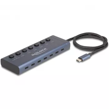 DeLOCK 63410 USB 3.2 Gen 1 Type-C Hub 5000 Mbit/s Blau