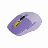 Maus CANYON MW-26 LCD Silent Dual Mode Wireless