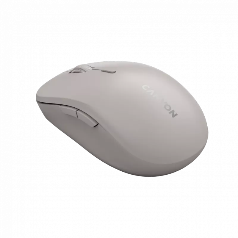 Canyon Maus MW-12 Dualband kabellos Beige - Maus - 2.400 dpi (CNS-CMSW12BG)