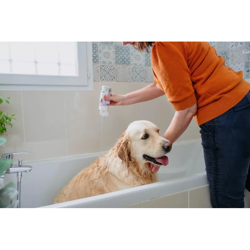 VIRBAC AllerDerm Shampoo für empfindliche Haut von Hunden und Katzen 250 ml