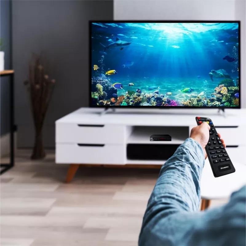 Digitaler TV-Tuner MANTA DVBT005-SH DVB-T/T2 HEVC-Unterstützung