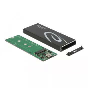 SSD-Gehäuse DeLOCK 42003 Externes Gehäuse für M.2 SATA SSD mit USB Type-C