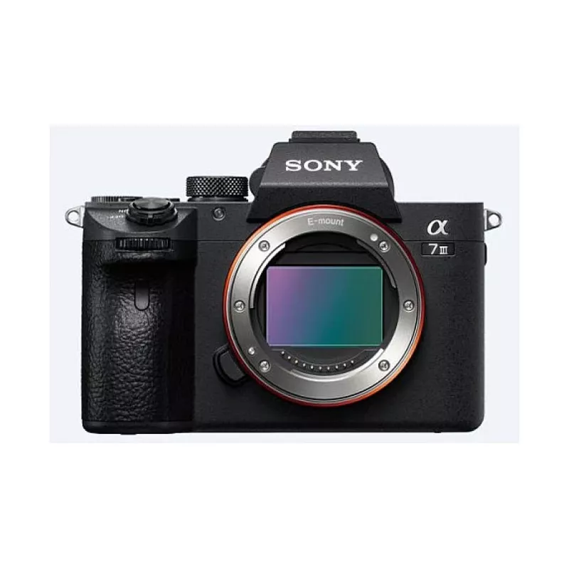Sony α 7 III + 28–70 mm MILC 24,2 MP CMOS 6000 x 4000 Pixel Schwarz