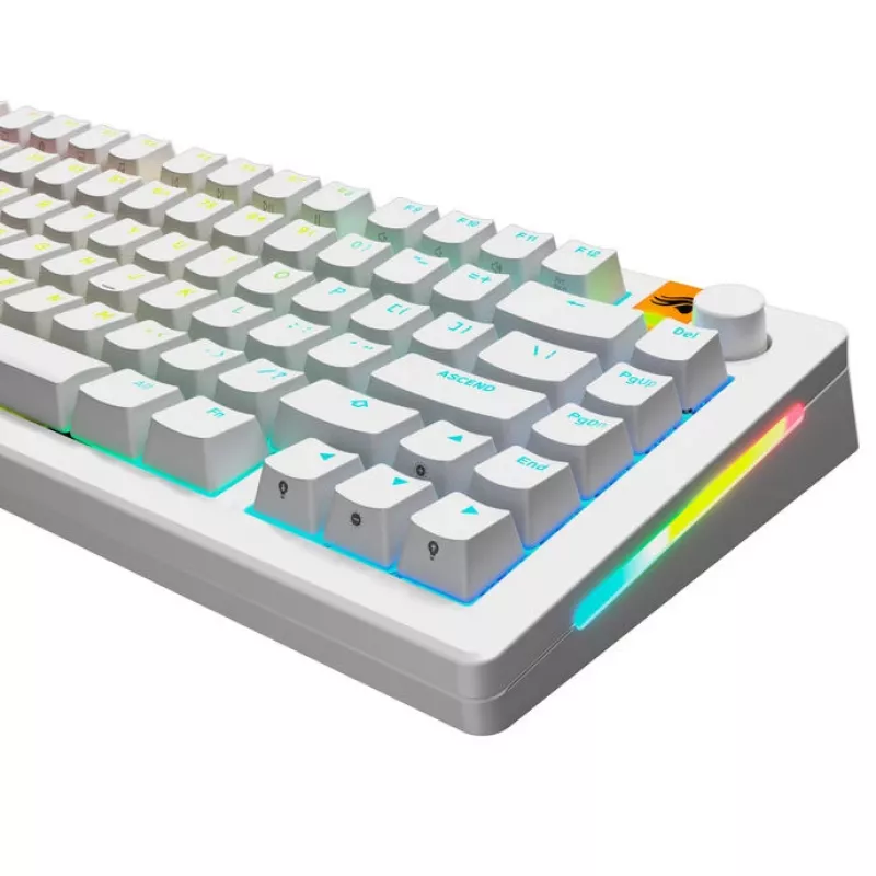 GLORIOUS GPBT Backlit Keycaps — PBT Weiß, ANSI-Layout