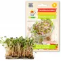 China Rose Radieschensamen für Sprossen, 20g Packung