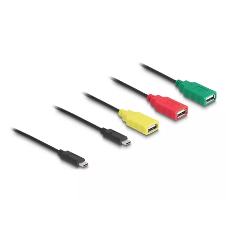 DeLOCK 4-Port USB 2.0 Kabel-Hub USB Type-C auf 3 x USB-A Buchse + 1 x USB-C Stecker
