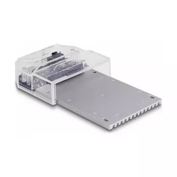 DeLOCK USB Type-C Dockingstation für 1 x U.2 SSD Schwarz