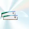 DIMM 48 GB DDR5-6000 (2x 24 GB) Dual-Kit, Memory Weiß, PVER548G60C42KW, Viper Elite 5 RGB, INTEL XMP, AMD EXPO