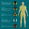 Perkussions-Massagepistole HoMedics PGM-150-EU — tragbares Perkussionstherapiegerät