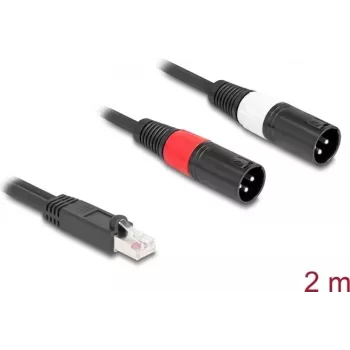 Audiokabel DeLOCK 88173 2 m RJ-45 2 x XLR 3-polig Schwarz
