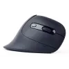 Gembird MUSW-ERGO-03 Maus Home Rechtshänder RF Kabellos Optisch 1600 DPI