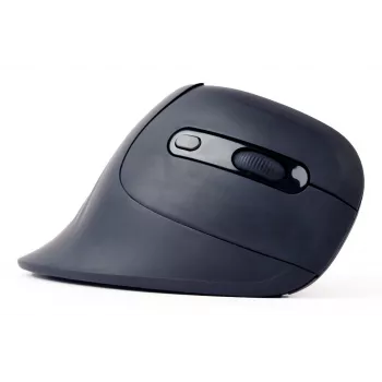 Gembird MUSW-ERGO-03 Maus Home Rechtshänder RF Kabellos Optisch 1600 DPI