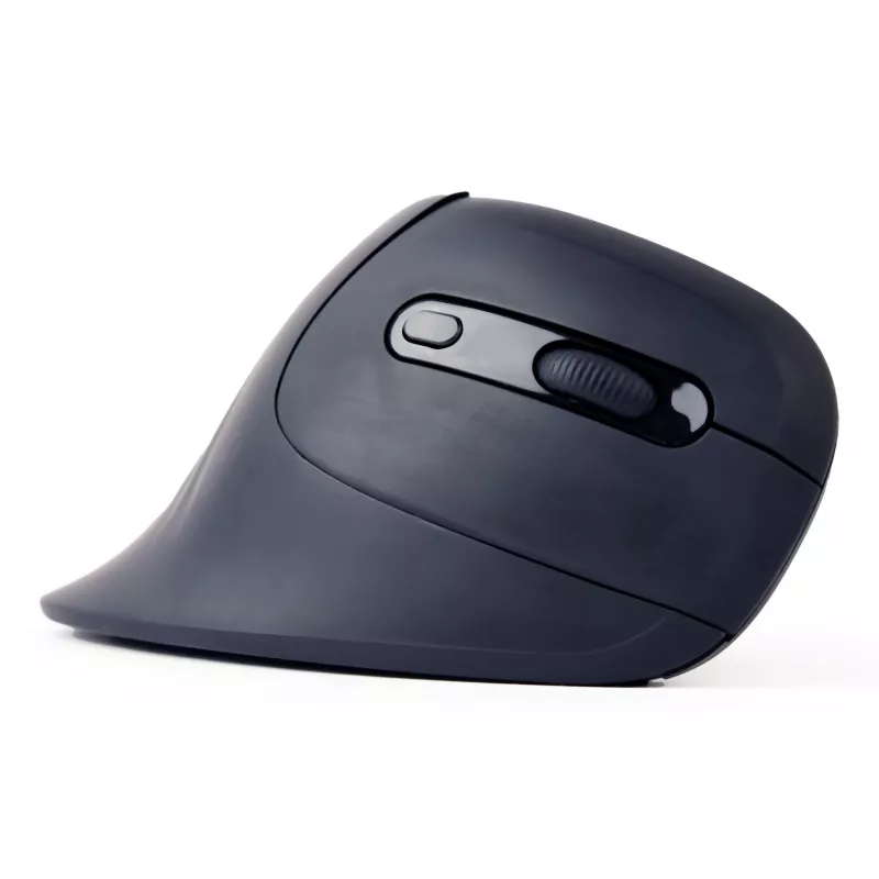 Gembird MUSW-ERGO-03 Maus Home Rechtshänder RF Kabellos Optisch 1600 DPI