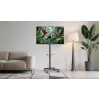 Gembird TV-Bodenständer mit Rollen (neigbar) für 32 Zoll–55 Zoll, VESA 100x100–400x400, max. Traglast 30 kg, schwarz