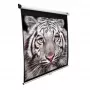 Elite Screens | M139NWX | Diagonale 353 Zoll | 16:10 | Sichtbare Bildschirmbreite (B) 2,98 cm | Weiß