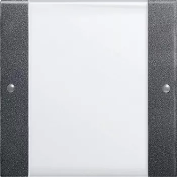 GIRA 213128 Elektrischer Schalter Anthrazit - Weiß (213128)