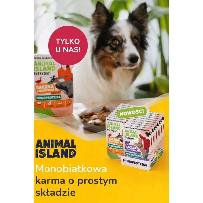 ANIMAL ISLAND Monoprotein Kalb/Ente/Pute Hundefutter 9×300g