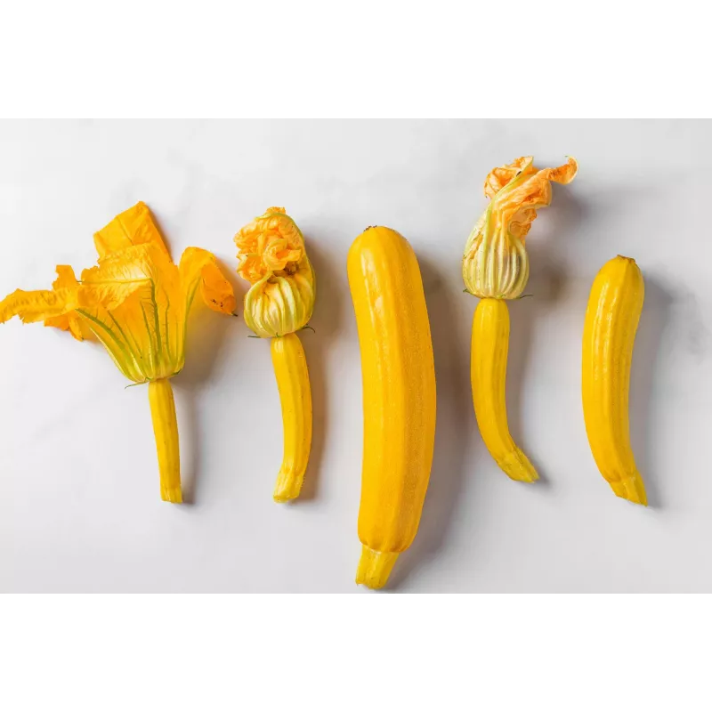 Goldene Zucchini Toraf Gemüsesamen, 5g Packung