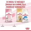 Trockenfutter für Katzen Royal Canin Kitten 2 kg — Geflügel- (Hühner-) Rezeptur, Protein 36 %, Fett 18 %