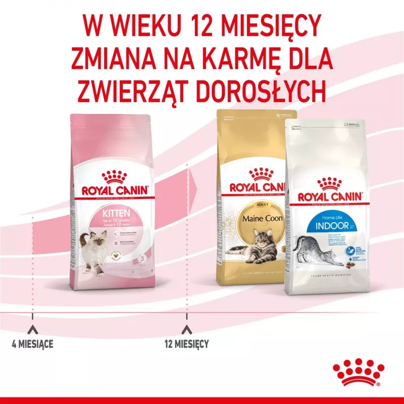 Trockenfutter für Katzen Royal Canin Kitten 2 kg — Geflügel- (Hühner-) Rezeptur, Protein 36 %, Fett 18 %
