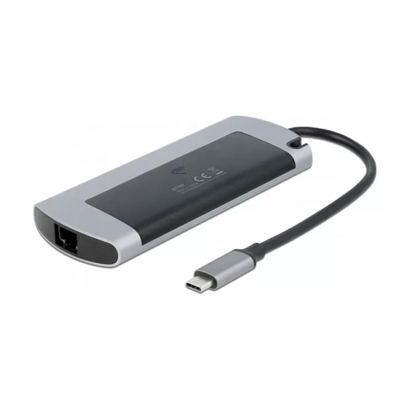 Dockingstation DeLOCK USB Type-C Dockingstation mit M.2-Steckplatz