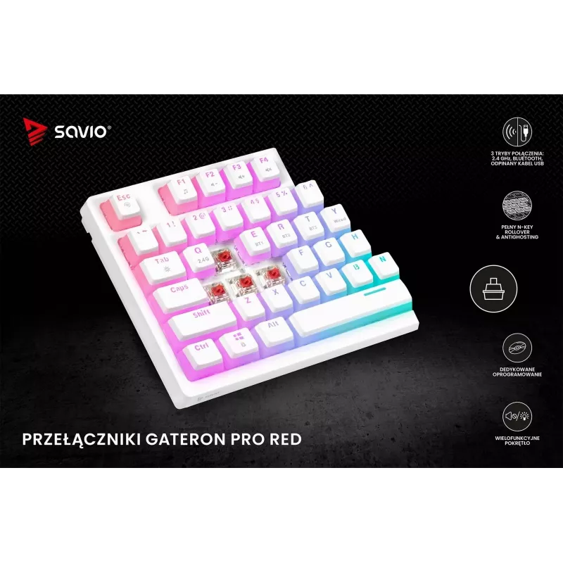 Gaming-Tastatur Savio Phenix WHITE GAT RED PUD Kabelgebunden Kabellos USB Bluetooth RGB LED