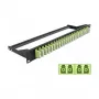 DeLOCK 43404 Patchpanel 1U Glasfaser LC Grün Rack-Montage