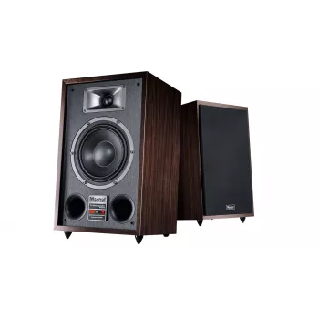 Standlautsprecher Magnat TRANSPULS 800A 2-Wege kabelgebunden & kabellos 2×60 W, Bluetooth 5.0, HDMI, Schwarz/Braun