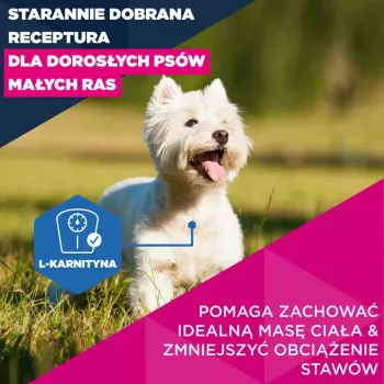 Trockenfutter für Hunde EUKANUBA Mature Small Chicken 3 kg — für ausgewachsene Hunde kleiner Rassen