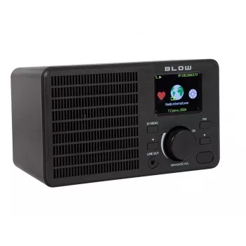Radio RI1 Internet