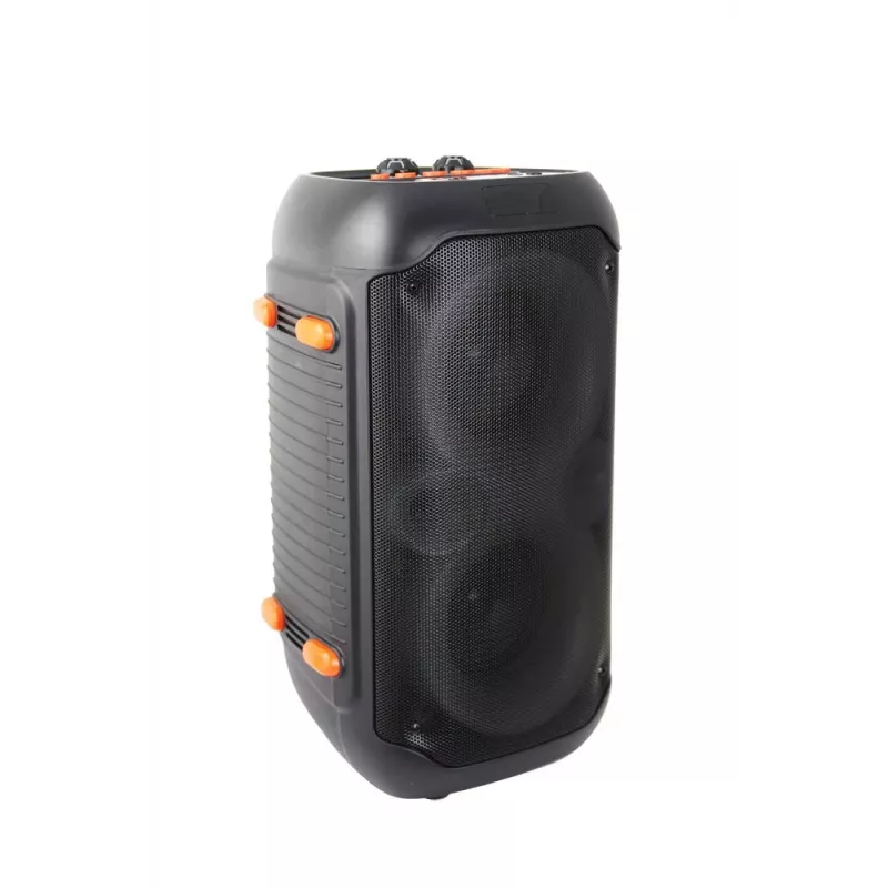 Esperanza EP156 BT FM LED RGB KARAOKE Lautsprecher Schwarz 20W