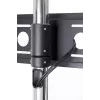 STD01 Ständer für Bildschirm 32-55'' VESA 75x75/600-400'' 80 kg