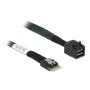 DeLOCK SAS-Kabel 85081 0,5m schlank SAS SFF-8654 Mini SAS HD SFF-8643