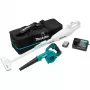 Akkukombi-Kit CLX245SAX1, 12 Volt, Laubbläser blau/schwarz, Lithium-Ionen-Akku 2,0 Ah, Akku-Staubsauger und Akku-Blasgerät