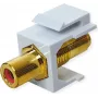VALUE ROLINE Keystone-Kupplung RCA geschirmt Kunststoff Rot (25.99.8213)