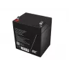 Green Cell AGM45 UPS-Batterie, versiegelte Blei-Säure (VRLA), 12 V, 5,3 Ah