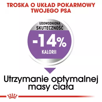 Trockenfutter für Hunde Royal Canin Mini Sterilised Care — 3 kg, Huhn, für sterilisierte kleine Rassen (5–10 kg), ausgewachsen, 30 % Protein
