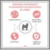 PUPIL Premium All Meat Gold Ente - Nassfutter für Hunde - 800g