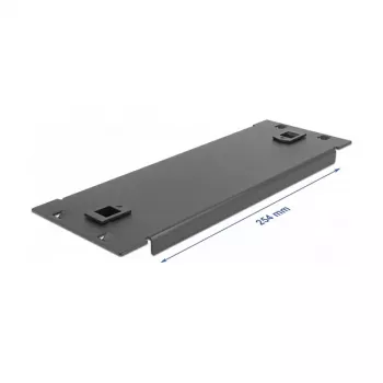 Blindabdeckung DeLOCK 10 Zoll Netzwerkschrank 66578
