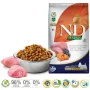 FARMINA N&D Pumpkin Lamb&Blueberry Mini Adult - Trockenfutter für Hunde - 7 kg