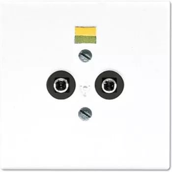 Steckdose JUNG LS 965-2 WW