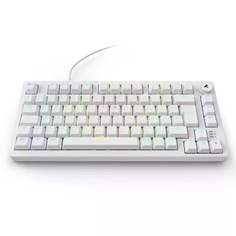 Sharkoon SGK25 75% QWERTZ USB kabelgebundene RGB LED Tastatur weiß