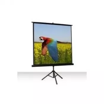 Celexon Economy 1:1 Stativ-Leinwand 184 x 184 (1090016)