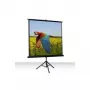 Celexon Economy 1:1 Stativ-Leinwand 184 x 184 (1090016)