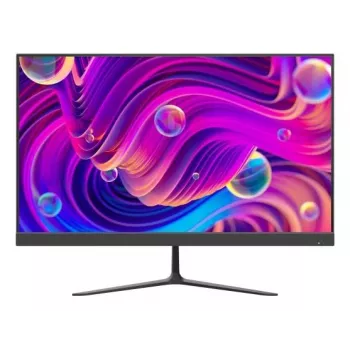 Monitor Hikvision DS-D5024F2-BV2S 23,8 Zoll Full HD LED 1920 x 1080